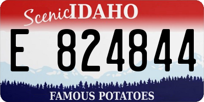 ID license plate E824844