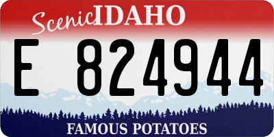 ID license plate E824944