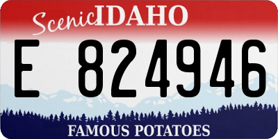 ID license plate E824946