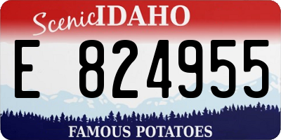 ID license plate E824955