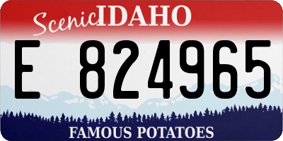 ID license plate E824965