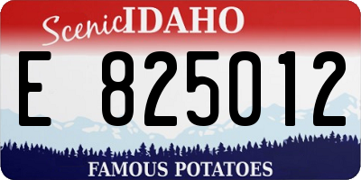 ID license plate E825012