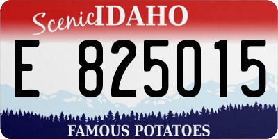ID license plate E825015