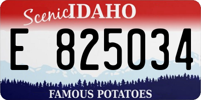 ID license plate E825034