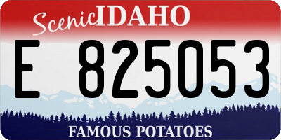 ID license plate E825053