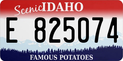 ID license plate E825074