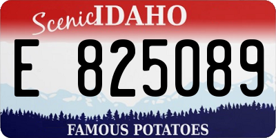 ID license plate E825089