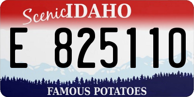 ID license plate E825110