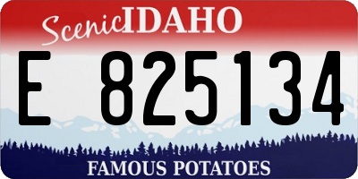 ID license plate E825134