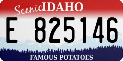ID license plate E825146