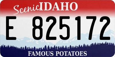 ID license plate E825172