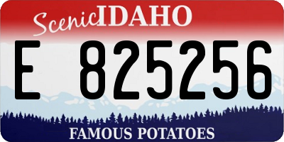 ID license plate E825256