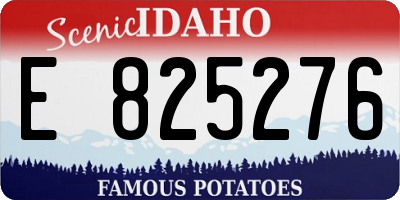 ID license plate E825276