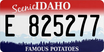 ID license plate E825277
