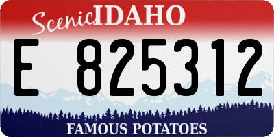 ID license plate E825312