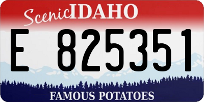 ID license plate E825351