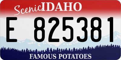 ID license plate E825381
