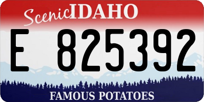 ID license plate E825392