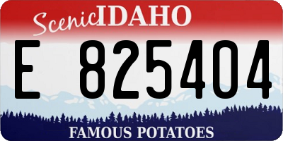 ID license plate E825404