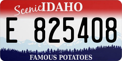 ID license plate E825408
