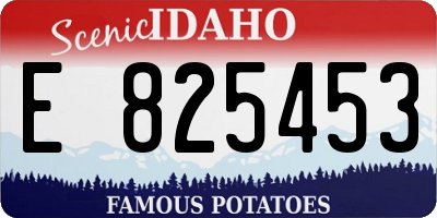 ID license plate E825453