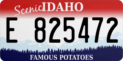 ID license plate E825472