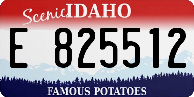 ID license plate E825512
