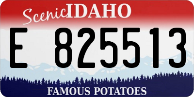 ID license plate E825513