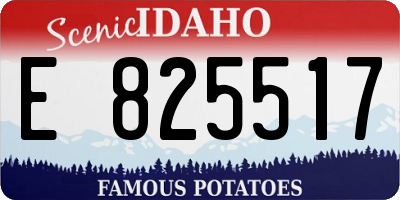 ID license plate E825517