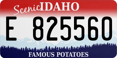ID license plate E825560