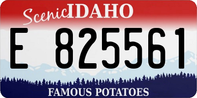 ID license plate E825561