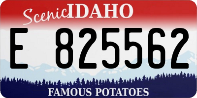 ID license plate E825562