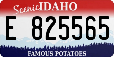 ID license plate E825565
