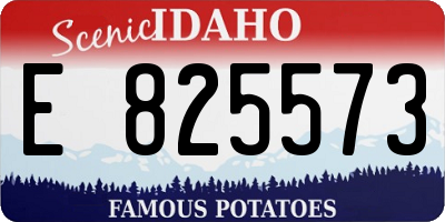 ID license plate E825573