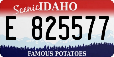 ID license plate E825577