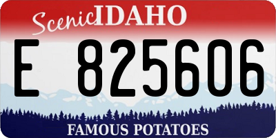 ID license plate E825606