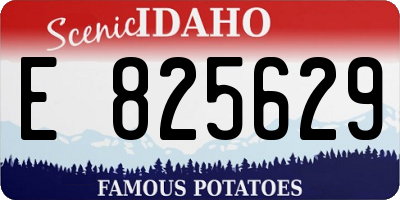 ID license plate E825629