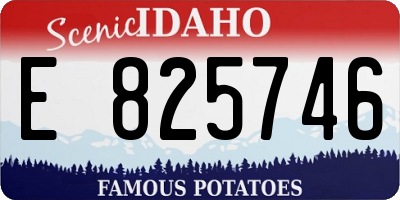 ID license plate E825746