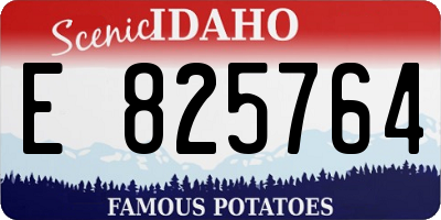 ID license plate E825764