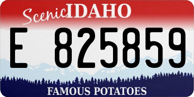 ID license plate E825859