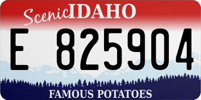 ID license plate E825904