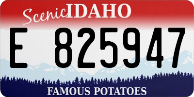 ID license plate E825947