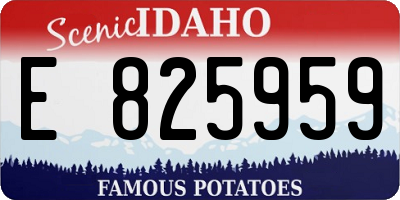 ID license plate E825959