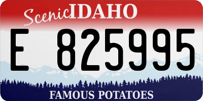 ID license plate E825995