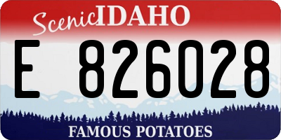 ID license plate E826028