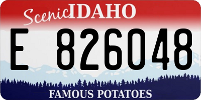 ID license plate E826048