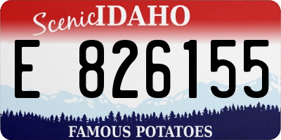 ID license plate E826155
