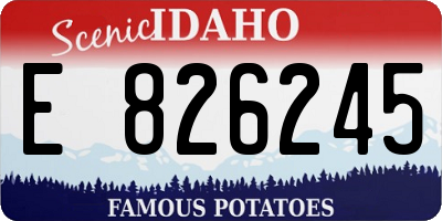 ID license plate E826245