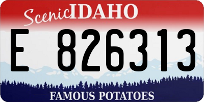 ID license plate E826313