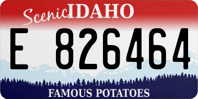 ID license plate E826464